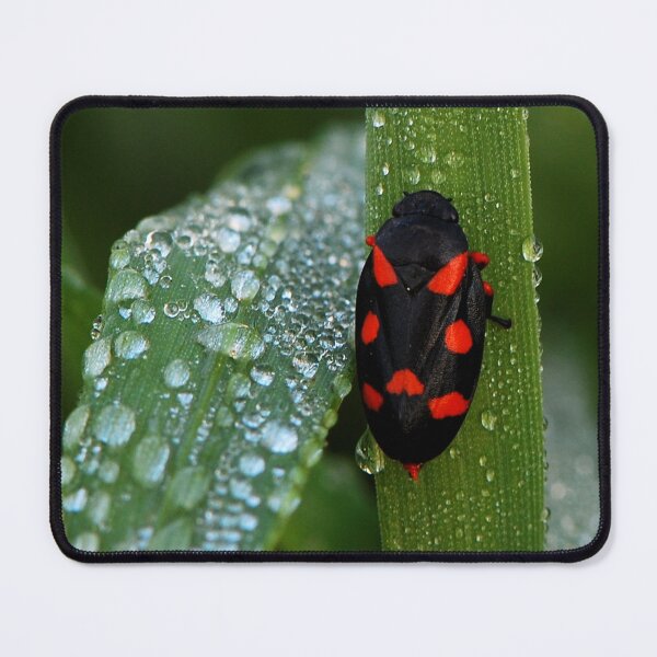 Item preview, Macro Insect Wall Art – Red and Black Bug on Dewy Leaf designed and sold by onubi.