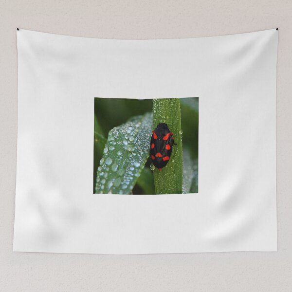 Item preview, Macro Insect Wall Art – Red and Black Bug on Dewy Leaf designed and sold by onubi.