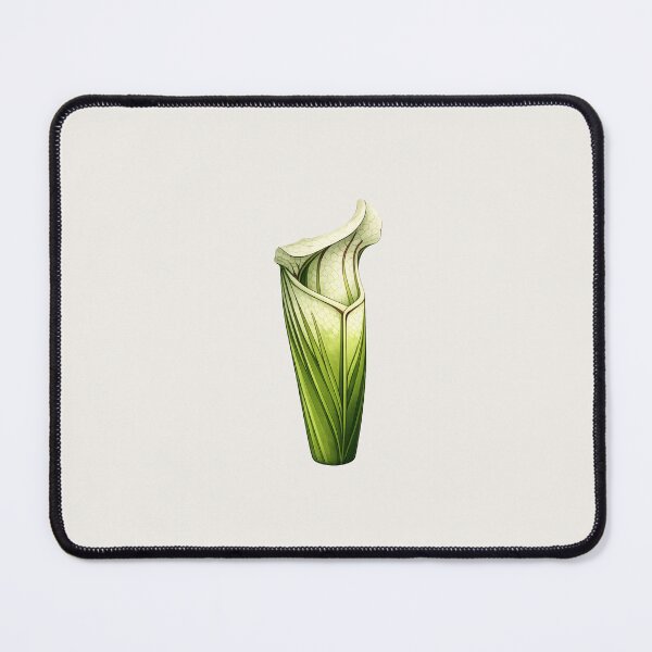 Item preview, White Pitcher Plant – Carnivorous Botanical Illustration designed and sold by Ombrya.