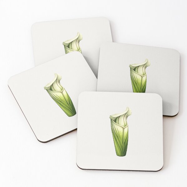 Item preview, White Pitcher Plant – Carnivorous Botanical Illustration designed and sold by Ombrya.