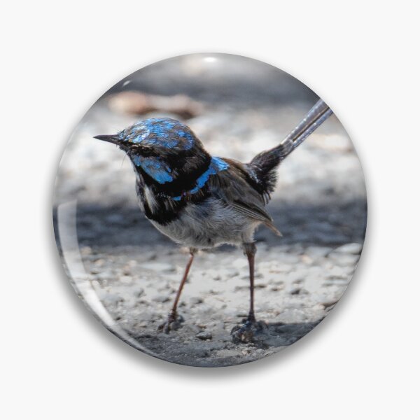 Item preview, Superb Fairy Wren designed and sold by stephendean.
