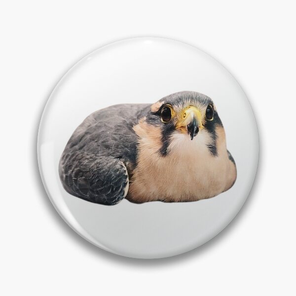 Item preview, Hawk designed and sold by di-Vera-Rosati.