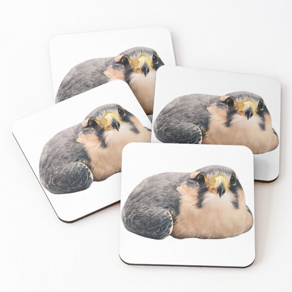 Item preview, Hawk designed and sold by di-Vera-Rosati.