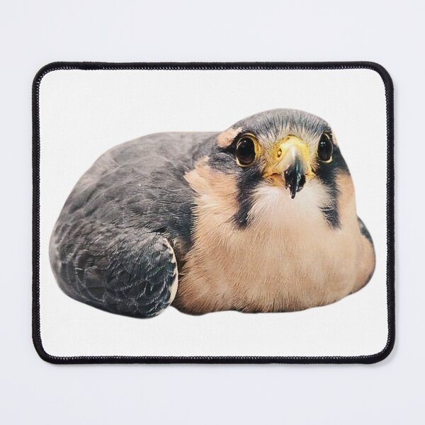 Item preview, Hawk designed and sold by di-Vera-Rosati.