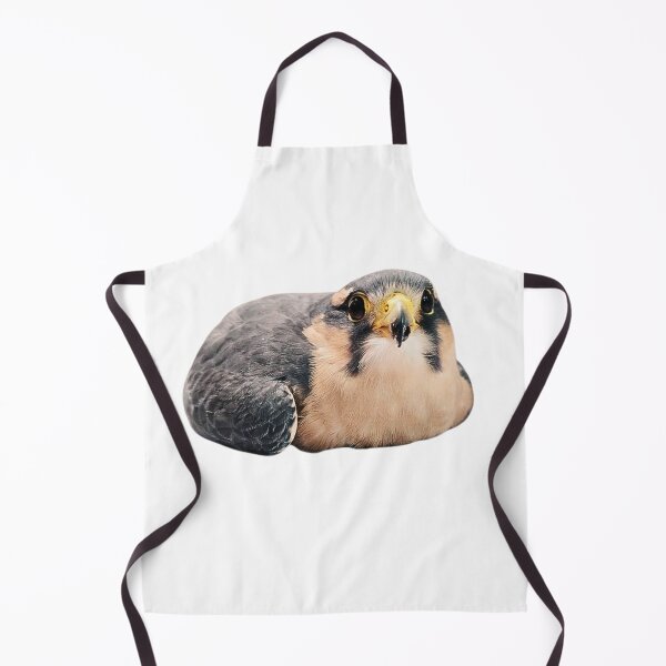 Item preview, Hawk designed and sold by di-Vera-Rosati.