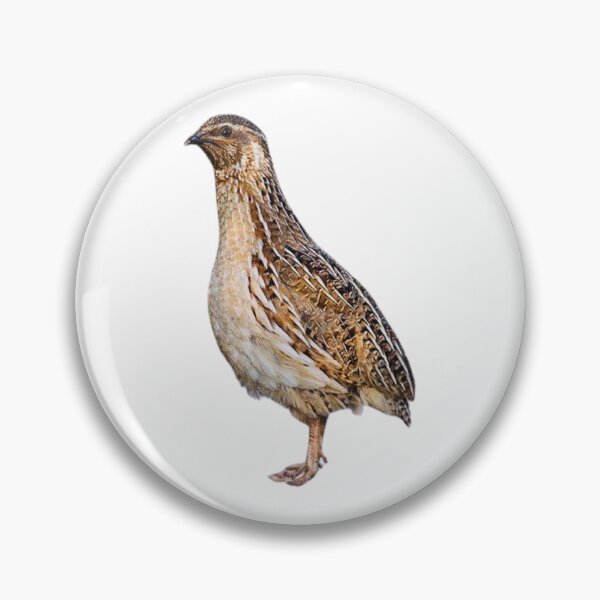 Item preview, Quail designed and sold by di-Vera-Rosati.