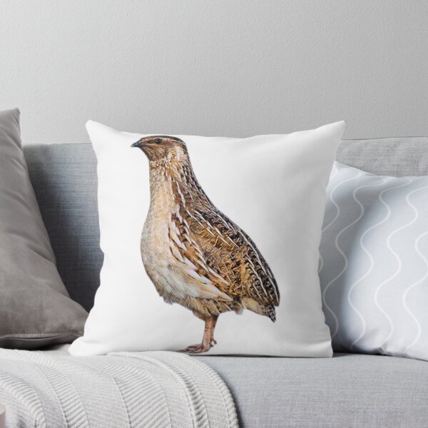Item preview, Quail designed and sold by di-Vera-Rosati.