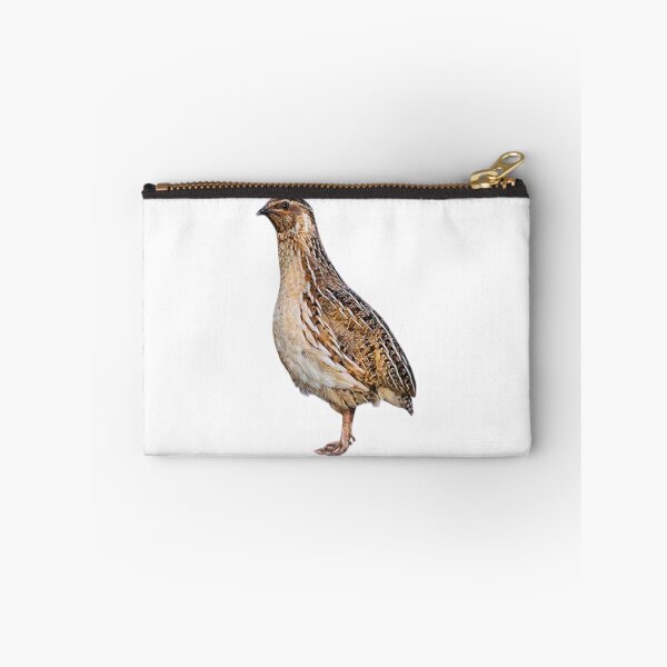 Item preview, Quail designed and sold by di-Vera-Rosati.