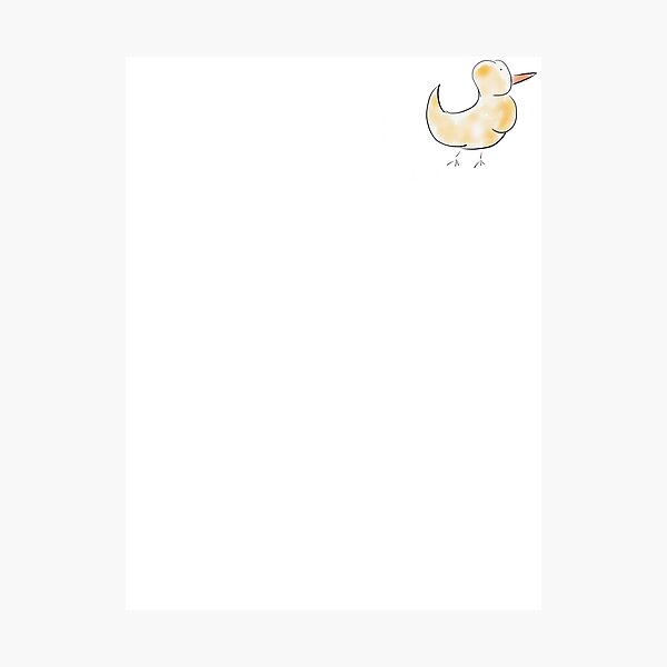 BIrdy Photographic Print