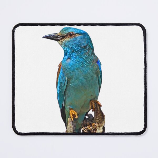 Item preview, Bird designed and sold by di-Vera-Rosati.