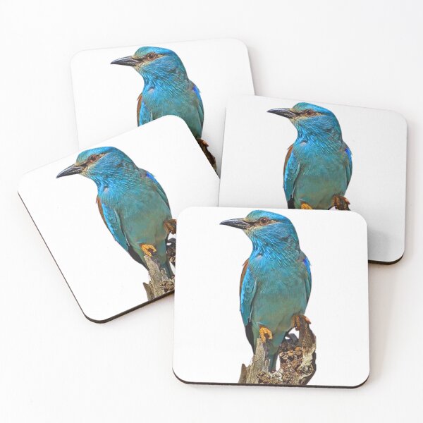 Item preview, Bird designed and sold by di-Vera-Rosati.