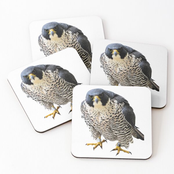 Item preview, Angry hawk designed and sold by di-Vera-Rosati.