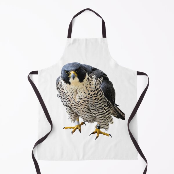 Item preview, Angry hawk designed and sold by di-Vera-Rosati.