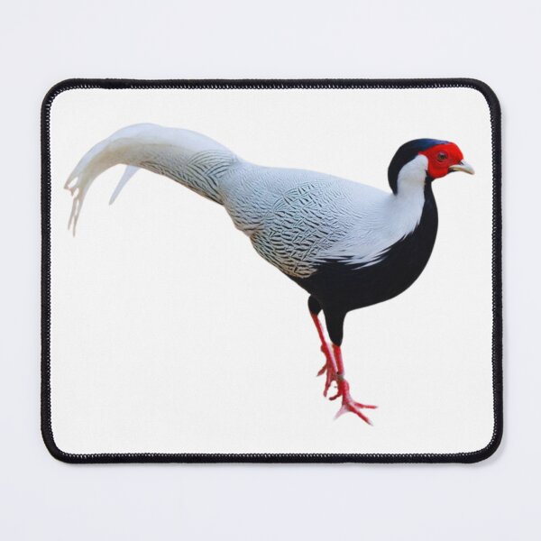 Item preview, Pheasant designed and sold by di-Vera-Rosati.