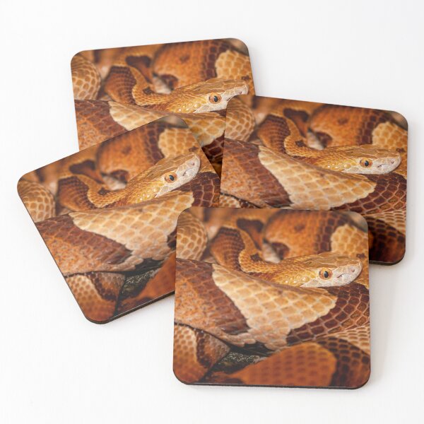 Item preview, Copperhead snake  designed and sold by Dalyndigital Photography.