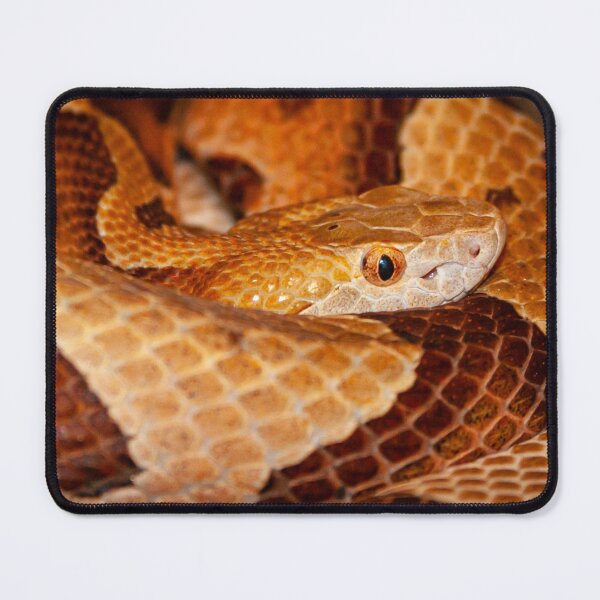 Item preview, Copperhead snake designed and sold by Dalyndigital Photography.