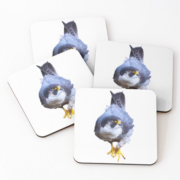 Item preview, Hawk designed and sold by di-Vera-Rosati.