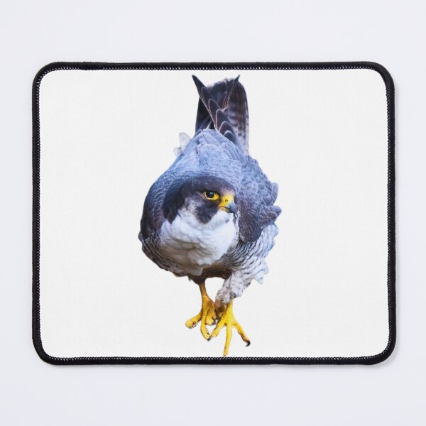 Item preview, Hawk designed and sold by di-Vera-Rosati.