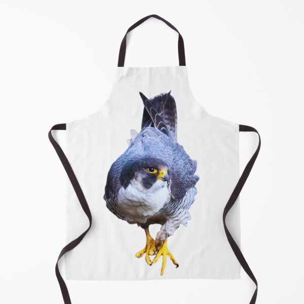 Item preview, Hawk designed and sold by di-Vera-Rosati.