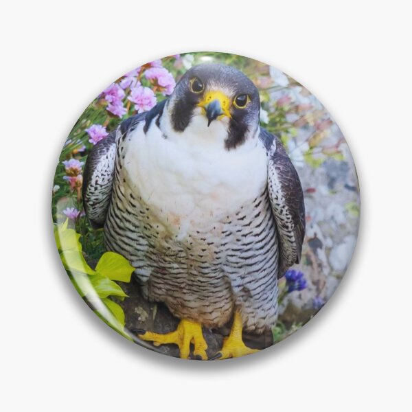 Item preview, Hawk on a stone designed and sold by di-Vera-Rosati.