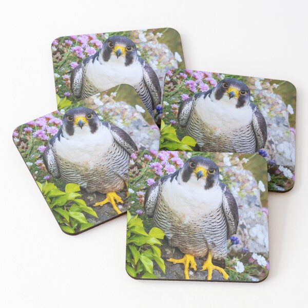 Item preview, Hawk on a stone designed and sold by di-Vera-Rosati.