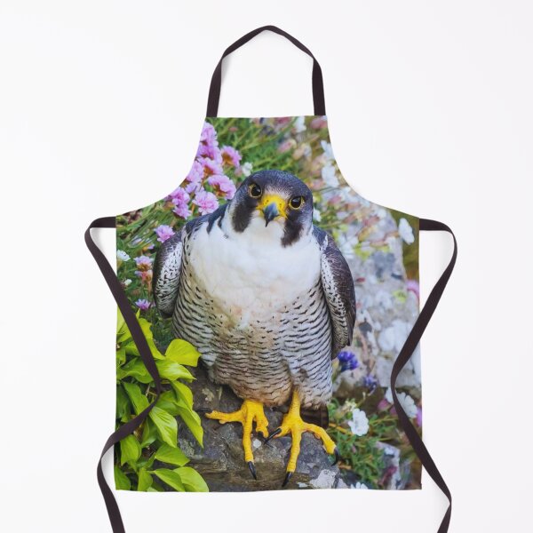 Item preview, Hawk on a stone designed and sold by di-Vera-Rosati.