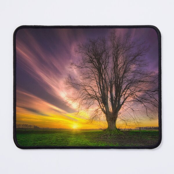 Item preview, Tree in a field designed and sold by Stefan Kierek.