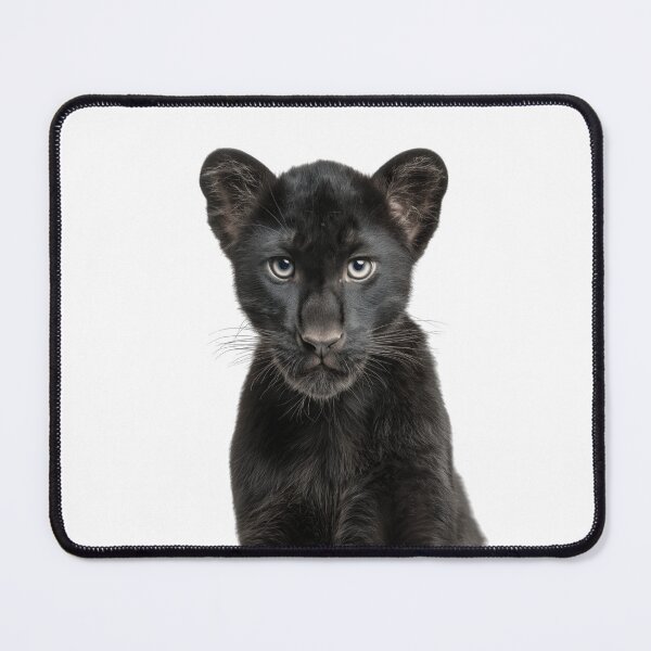 Item preview, Adorable Baby Panther for Cute Panther lovers designed and sold by LazyOwlStore.