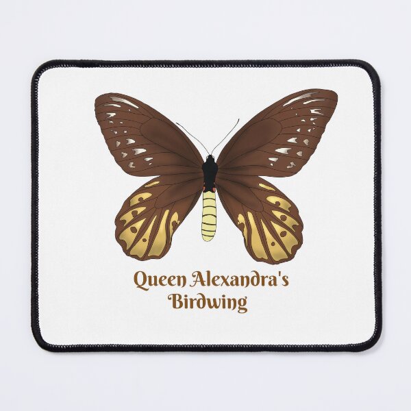 Item preview, Queen Alexandra's Birdwing Butterfly(Female) designed and sold by Floralfusion.
