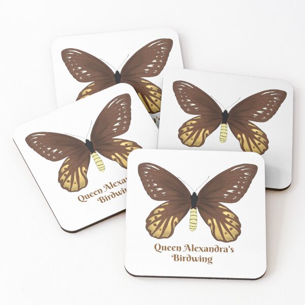 Item preview, Queen Alexandra's Birdwing Butterfly(Female) designed and sold by Floralfusion.