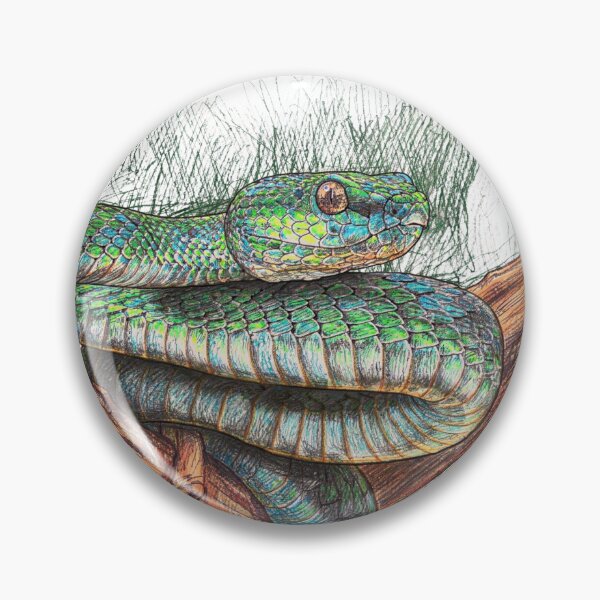 Item preview, Vibrant Green Snake Coiled on Wooden Branch - Nature Wildlife Art designed and sold by Stick-Shop9.