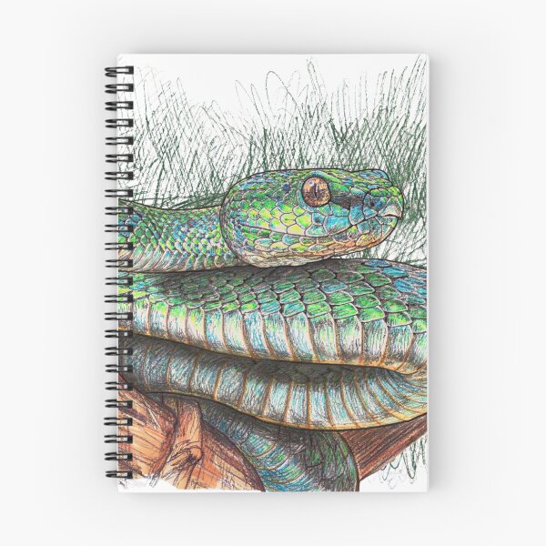 Item preview, Vibrant Green Snake Coiled on Wooden Branch - Nature Wildlife Art designed and sold by Stick-Shop9.