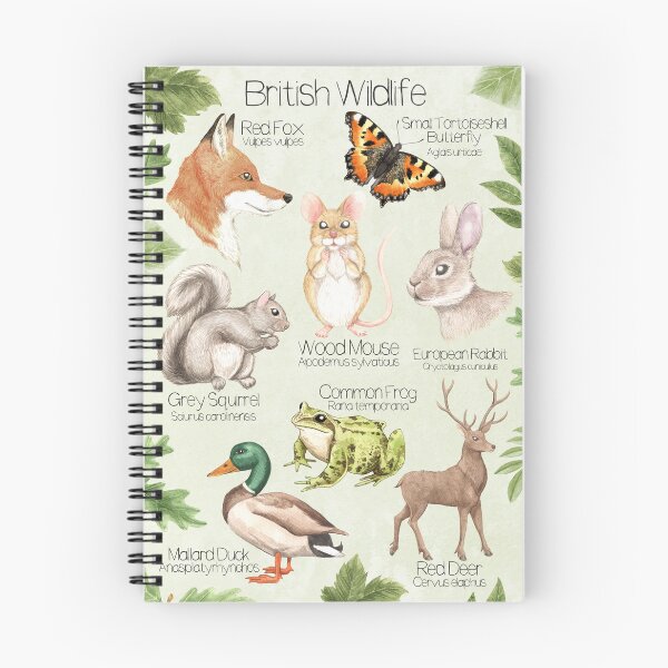 Item preview, British Wildlife Animals Illustration Nature Poster designed and sold by LCWaterworth.
