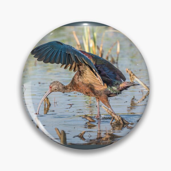 Item preview, Ibis Hunting in the Wetlands designed and sold by Debra Martz.
