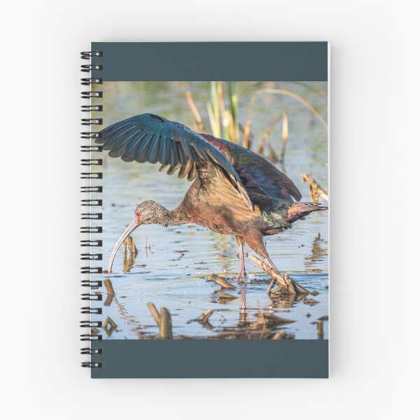 Item preview, Ibis Hunting in the Wetlands designed and sold by Debra Martz.