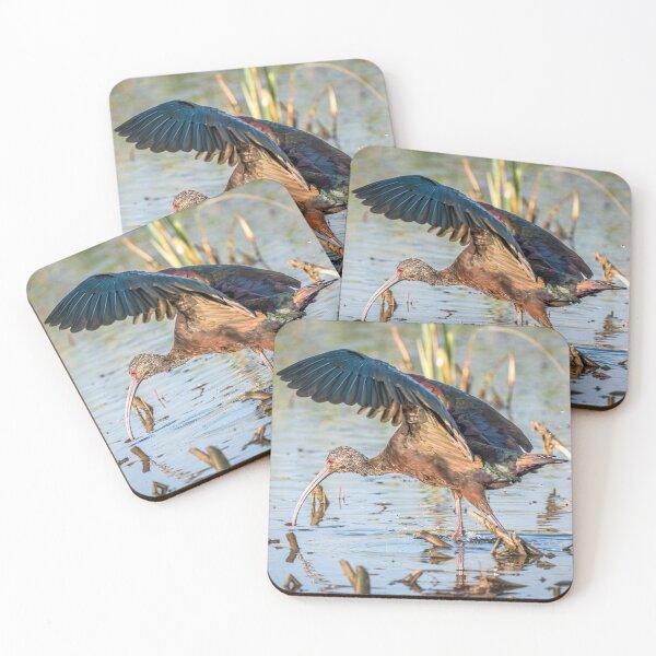 Item preview, Ibis Hunting in the Wetlands designed and sold by Debra Martz.