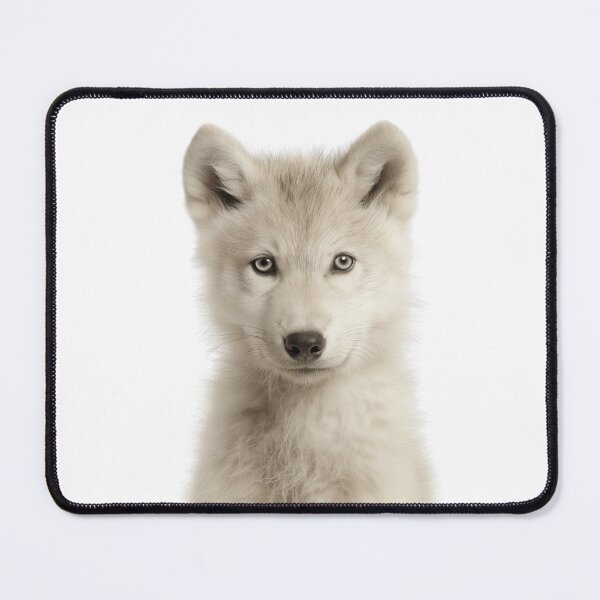 Item preview, Adorable Baby Arctic Wolf for Cute Arctic Wolf lovers designed and sold by LazyOwlStore.