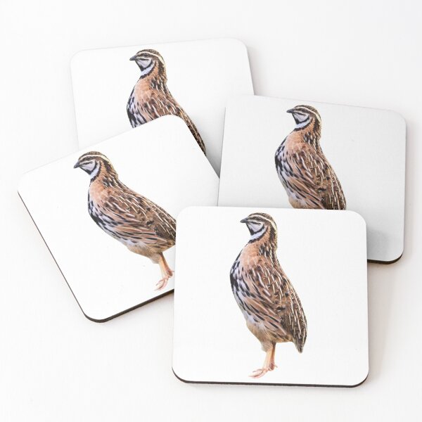Item preview, Rain quail designed and sold by di-Vera-Rosati.