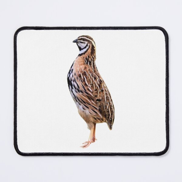 Item preview, Rain quail designed and sold by di-Vera-Rosati.