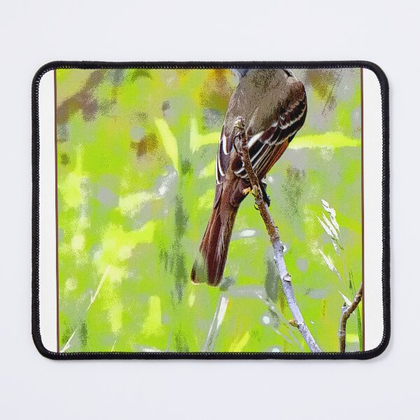 Item preview, Flycatcher Perched on a Twig in a Summer Meadow designed and sold by AMacGPhilly.
