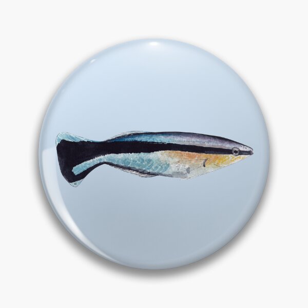 Item preview, BLUESTREAK CLEANER WRASSE-Labroides dimidiatus designed and sold by BEATRIZ ABAITUA.