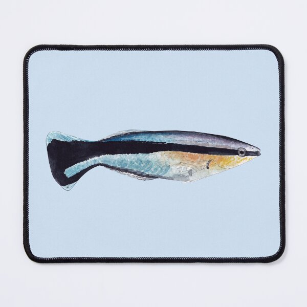 Item preview, BLUESTREAK CLEANER WRASSE-Labroides dimidiatus designed and sold by BEATRIZ ABAITUA.