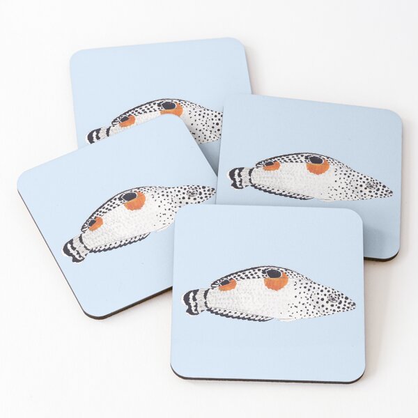 Item preview, TWIN SPOT CORIS WRASSE-Coris aygula designed and sold by BEATRIZ ABAITUA.