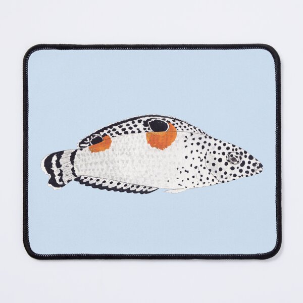 Item preview, TWIN SPOT CORIS WRASSE-Coris aygula designed and sold by BEATRIZ ABAITUA.