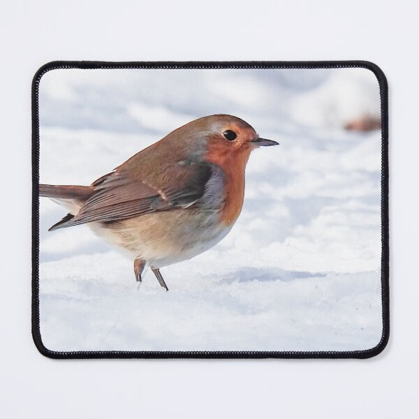Item preview, Robin designed and sold by MS.photo.