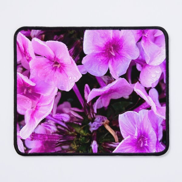 Item preview, Pink Plox Flowers designed and sold by 21mandatory.