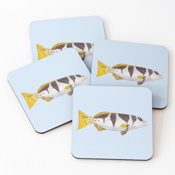 Item preview, BLACK SADDLED CORAL GROUPER-Plectropomus laevis designed and sold by BEATRIZ ABAITUA.