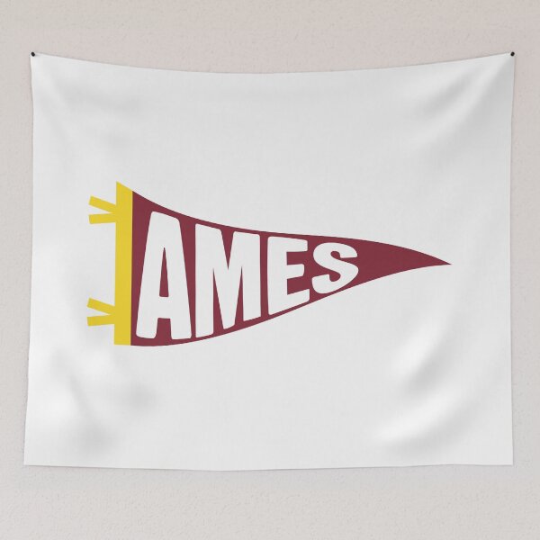 Item preview, Ames Iowa Retro College Town Pennant designed and sold by Sparkledust Creations.
