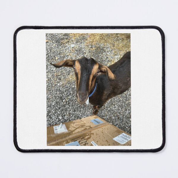 Item preview, Special Delivery… Eaten. designed and sold by Pearls1.