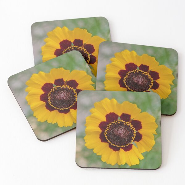 Item preview, Florida wildflower designed and sold by Jmb67.